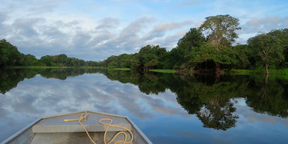 life and death in amazon